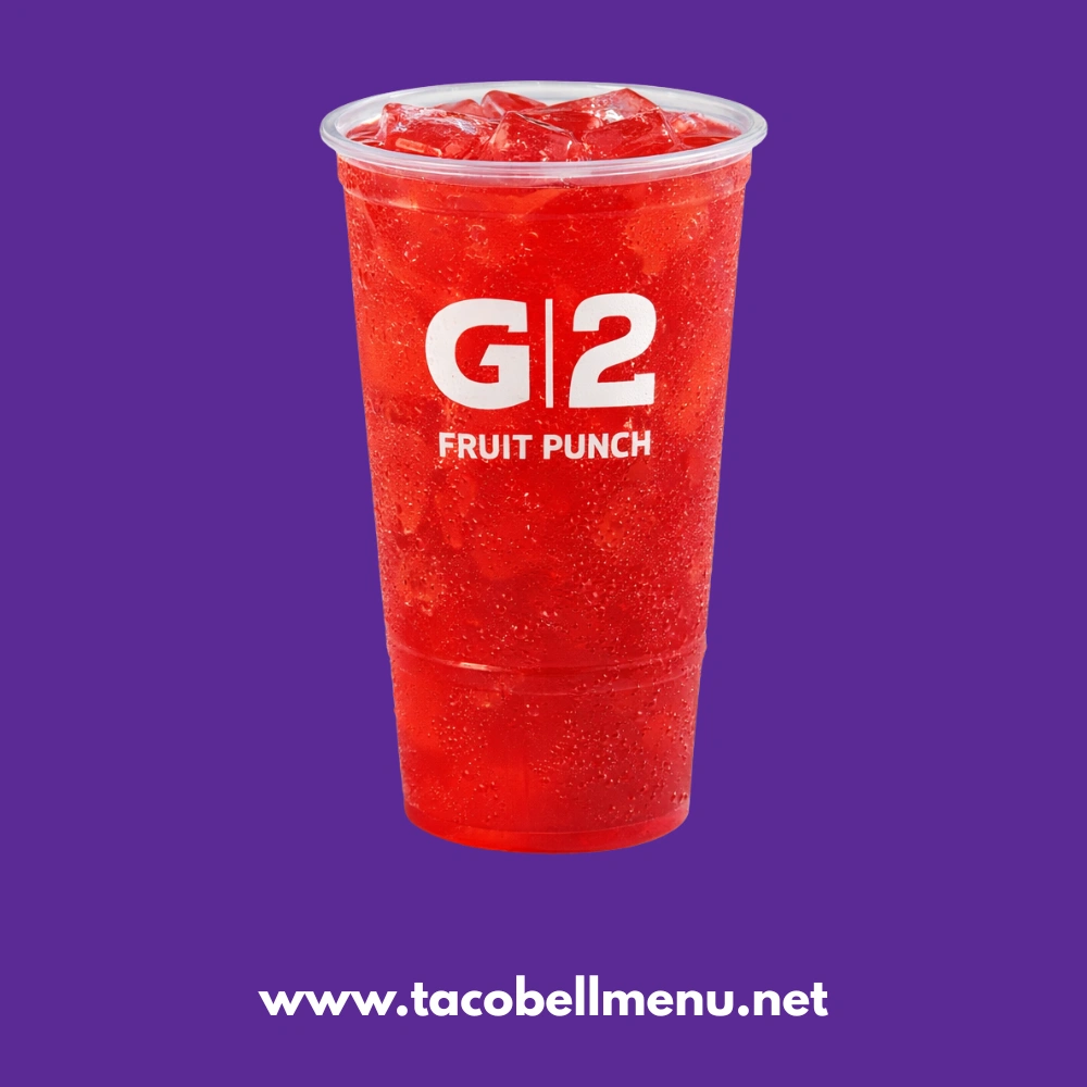 G2 Gatorade® Fruit Punch
